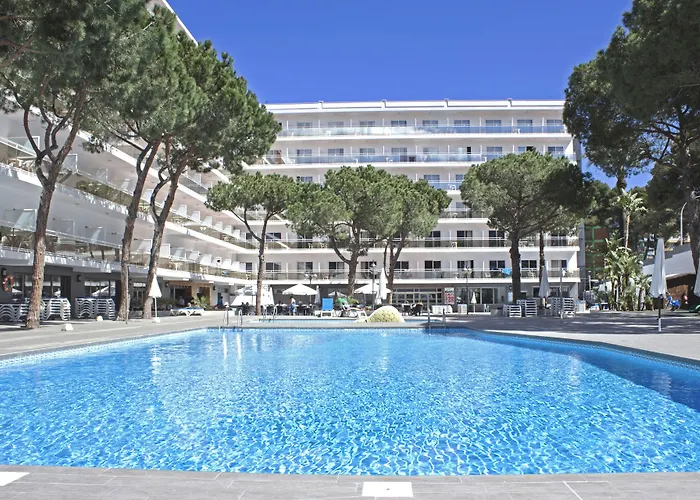 Hotel que admite mascotas: Hotel Best Oasis Park